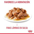 Royal Canin Urinary Sobre en Salsa para gatos, , large image number null